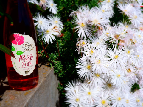 【夏ギフト】 "薔薇" の お酒 とカムカムのお酒！720ml 各1本