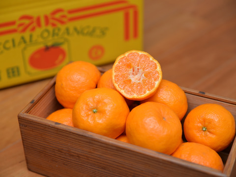 ポンカン 4kg★むいた瞬間から香りがおいしい！★手でむいて薄皮ごと食べられる！