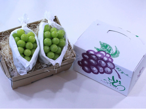 【長野県産】 シャインマスカット 贈答用 1.3kg（2~3房入り）