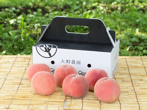 【激レア商品】【あかつきNEO・1.5kg箱】あかつきを越える進化系品種※希少品種