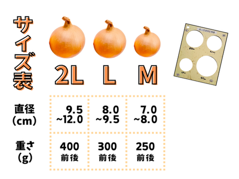 【野菜ソムリエサミット金賞🏆】淡路島新玉ねぎ5kg