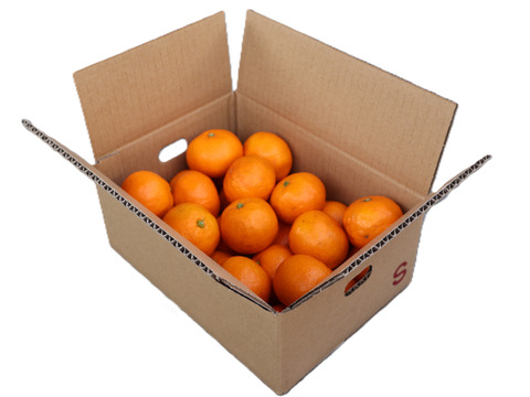 【冬ギフト】農家直送！有田みかん2kg≪Sサイズ 秀品≫【平武農園】～蛍飛ぶ町から旬の便り～　和歌山｜有田｜田口｜ギフト｜こだわり　産地直送　お取り寄せ