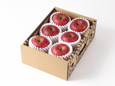 ◆大好評数量限定◆【ふじりんごの詰め合わせ】 訳あり品 約2㎏ 家庭用・おすそ分けに丁度いい！ WRW02-02-02