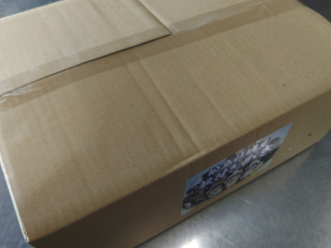 【水産庁補助事業　送料無料】 ❄️ 生食用 １３ｋｇ 殻付き 牡蠣 急速凍結 （冷凍牡蛎）松島牡蠣屋直送 🔥 BBQ/パーティーに！貝類 海産物 oyster 😋冷凍牡蠣 貝類 二枚貝　B