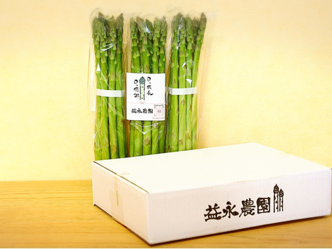しっかりとした食べ応え 益永農園アスパラガス 朝倉産 lサイズ 1kg グリーンアスパラ 福岡県産 食べチョク 農家 漁師の産直ネット通販 旬の食材を生産者直送 しっかりとした食べ応え 益永農園アスパラガス 朝倉産 lサイズ 1kg グリーンアスパラ 福岡県産 食べチョク 農家 漁師の産直ネット通販 旬の食材を生産者直送