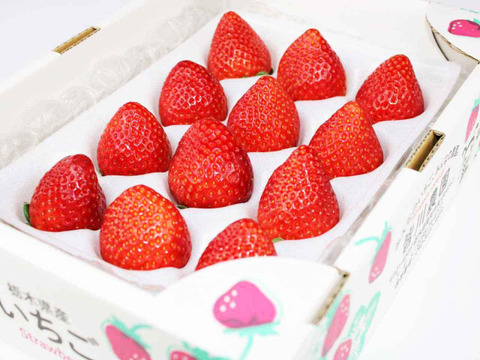 (1P)約280g【いちご・とちあいか】安心新パッケージ★甘さ増量●栃木県産いちご●お届け日指定可