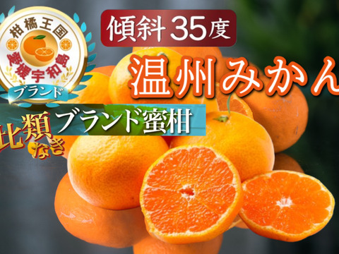 🍊送られて嬉しいお歳暮ギフト🍊日テレで紹介された傾斜35度の崖上で収穫される希少な宇和島ブランド温州みかん☆お得な大容量約3kg【2026年10月下旬予約】