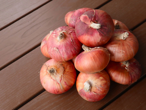 【農薬・化学肥料不使用】【約10キロ】長野伊那谷の赤たまねぎ