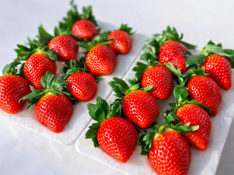 太陽のしずく -宮崎県産やよいひめ- 1箱