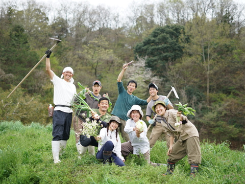 てんとうむしばたけがお届けする旬の有機野菜セット8~9品＜有機JAS認証＞