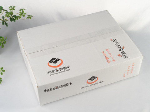 キウイフルーツ3k ビタミンたっぷり濃く甘く山の辺の果実！！追熟すみ