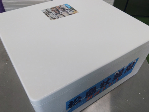 【水産庁補助事業　送料無料】🦪 生食用13ｋｇ 殻付き 牡蠣 牡蛎 殻付き牡蛎 kaki カキ 松島牡蠣屋 BBQに最適！🔥 海産物 オイスター oyster 😋生牡蠣 殻付き牡蠣【冬ギフト】