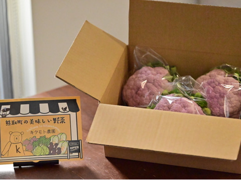 食卓を彩る！紫カリフラワーLサイズ　3個