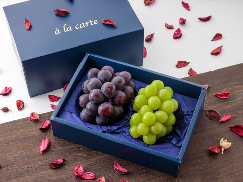 シャインマスカットとニューピオーネ又はオーロラブラック１房づつ(１房500g前後)８月下旬より順次発送