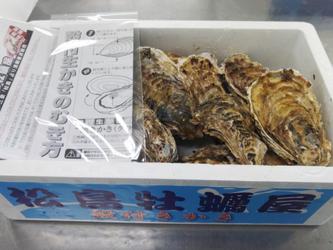 【水産庁補助事業 送料無料】🦪 生食用２ｋｇ 殻付き 牡蠣 （14〜30粒）牡蛎 殻付き牡蛎 kaki カキ 松島牡蠣屋 BBQに最適！🔥 海産物 オイスター oyster 生牡蠣 A
