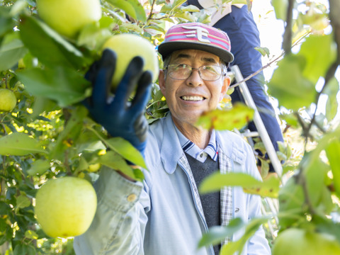 【りんご：王林】癒やしの香り豊かな時間 青りんご特大14～10個程度（5kg程度）