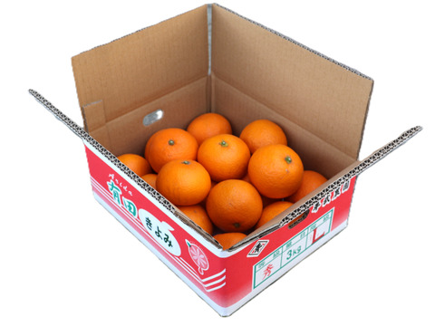 農家直送！きよみオレンジ　3kg  【平武農園】〜蛍飛ぶ町から旬の便り〜　和歌山｜有田｜田口｜ギフト