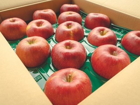 じゅわっと甘い！【シナノスイート】3Kg （7～9玉）