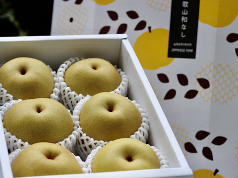 数量限定❗️大玉豊水梨【袋掛け栽培、秀品】天空の村よりお届け‼️