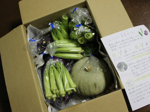 肌つや野菜セット（おまかせ３～５種類）栽培期間中は農薬不使用