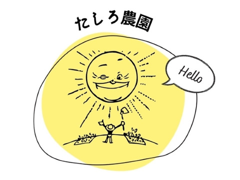 【料理に使いやすい！】乾燥スライスにんにく100g（25g×４）　☆北海道産自家栽培にんにく使用☆