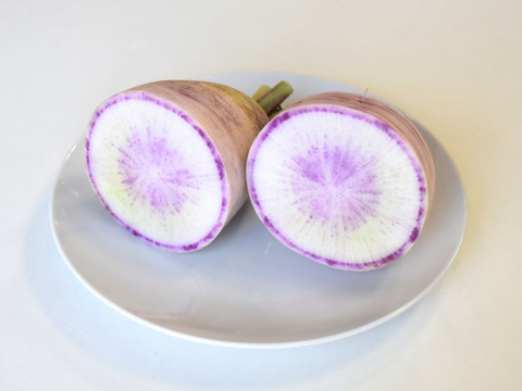 和らぎ農法　紫大根　大（1～2本）