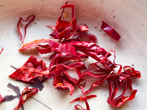 【自然栽培白菜×激辛唐辛子】おうちで手作りキムチセット 産地直送 栽培期間中農薬不使用 掘りたての白菜をお届け 化学肥料不使用 白菜2玉(約2kg) 乾燥唐辛子 100g