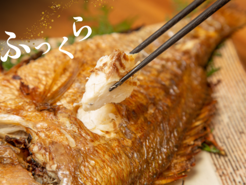 【まだ間に合う！】お正月用・祝い鯛！〈塩焼き鯛〉は特別なブランド真鯛を♪