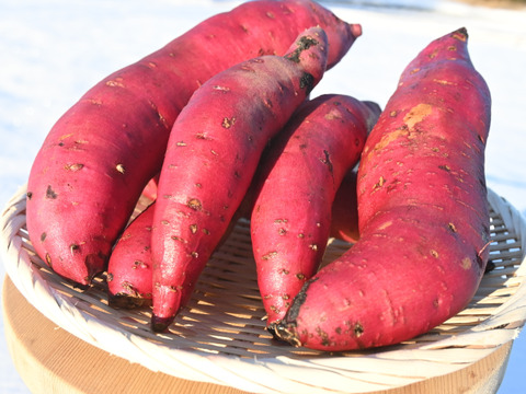 十勝の黄金（熟成べにはるか）　2キロ
焼き芋にするとねっとり濃厚な蜜芋になります👍