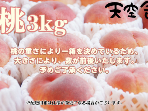 【7月下旬】かたい桃「なつっこ」約3kg・9～12玉１箱山梨県笛吹市八代町産
