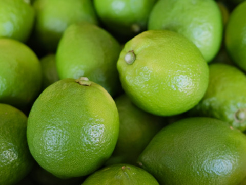 (5kg)香り抜群‼︎　特別栽培「瀬戸田産グリーンレモン」A品