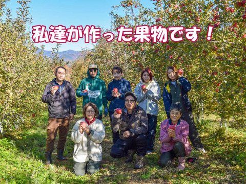 【今だけお買い得！訳あり★50%OFF★】家庭用葉とらずふじりんご10kg【長野県産】