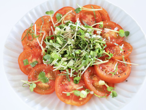 【とまほっぺ】フルティカトマト 500g｜愛媛・久万高原直送