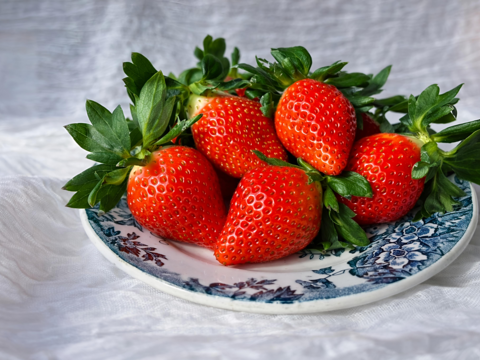 【ご家庭用】宮崎県産 やよいひめ たっぷりBOX｜大小ミックス・朝採り順次発送