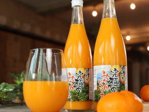 手むき　究極のみかんジュース【２本セット】　無添加100％