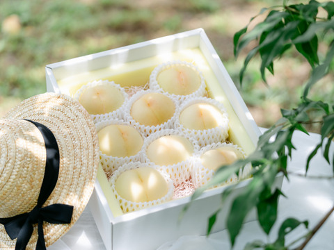 【夏ギフト:７月中旬発送・化粧箱入り】桃の女王・果汁がジュワッと溢れでる『清水白桃』5〜10玉（贈答用・熨斗対応可）