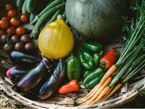 美しい水と寒暖差が育む野菜本来の味。自然のまんまの新鮮野菜詰め合わせLサイズ（1～2人で1週間分）【6月~11月発送】【冬ギフト】