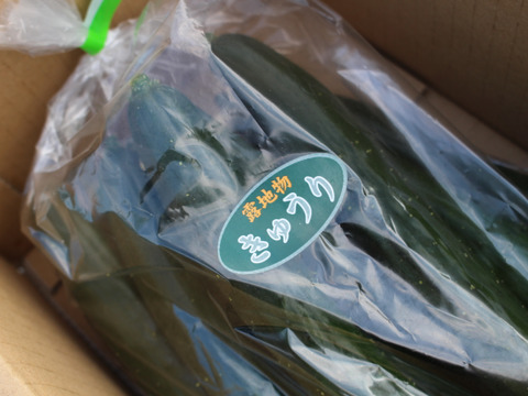 朝採り新鮮：A級品『きゅうり』2㎏（約20本）