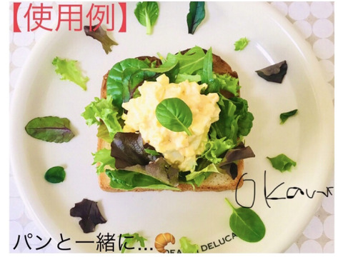 【減農薬栽培】シャキシャキ！　ベビーリーフ🍃　500g