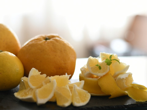 【初夏の味】【訳あり】ニューサマーオレンジ　１０ｋｇ　※４月上旬発送