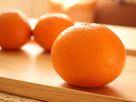お試し1kg：濃密な果汁No.1きよみオレンジ