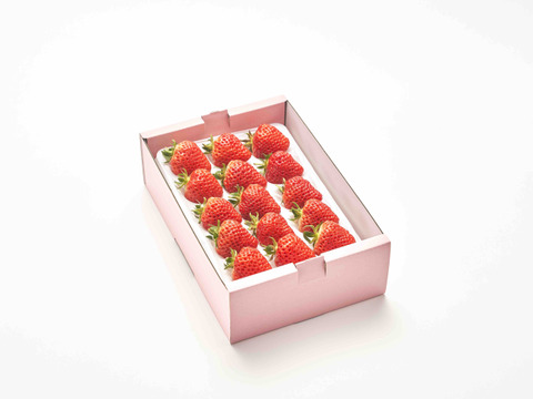 お試しいちご【完熟越後姫】スタンダードサイズ