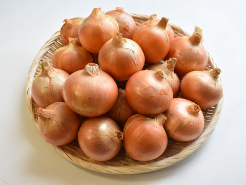 和らぎ農法　極みの玉ねぎ便（約5kg）