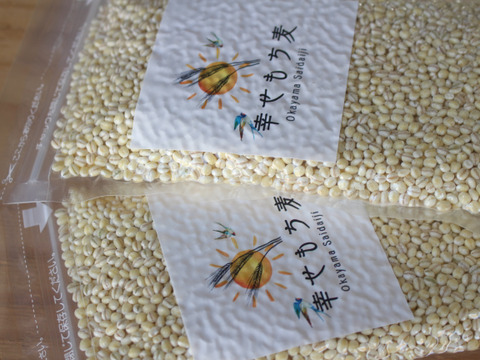 令和6年産★もちっプチっ食感が癖になる！岡山西大寺幸せもち麦（1ｋｇ(
500 g×２袋））