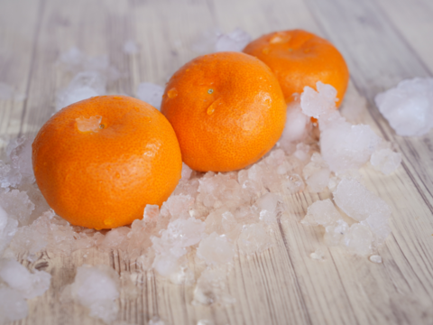 夏に美味しい唐津の極上みかん♡おためしサイズ「ハウスみかん」700g