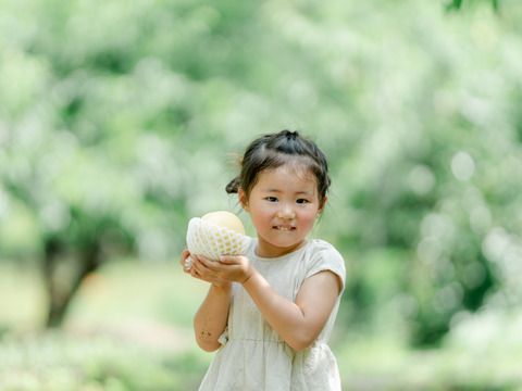 【夏ギフト:７月下旬発送・化粧箱入り】数量限定・希少品種！白桃の大トロ『おかやま夢白桃』5〜10玉（贈答用・熨斗対応)