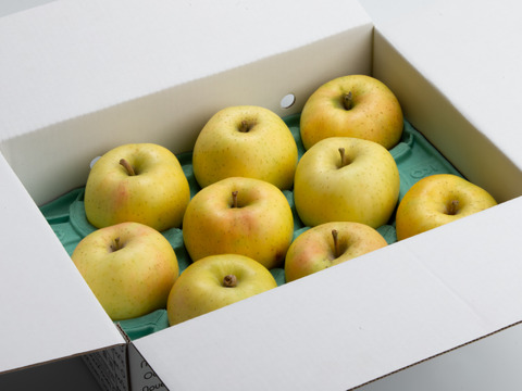 【りんご：とき】黄色いりんごの代表！12～6個程度（3㎏程度）