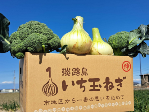 ブロッコリー2株×淡路島新玉ねぎ10個セット【野菜ソムリエサミット金賞🏆】
