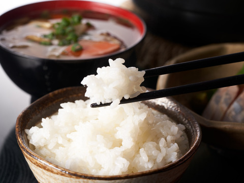 【令和7年産】魚沼産コシヒカリ 精米5㎏ 【特別栽培米】