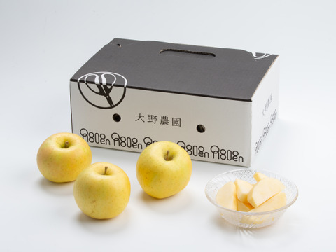 【りんご：とき】黄色いりんごの代表！8～5個程度（2kg程度）